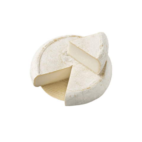 Chevrotin